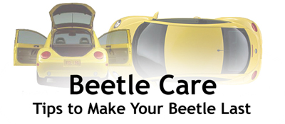 beetlecare2.jpg (44689 bytes)