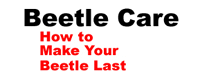 Simple Tips About Caring for Your Beetle